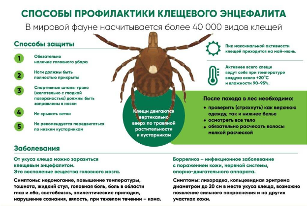 Роспотребнадзор информирует.