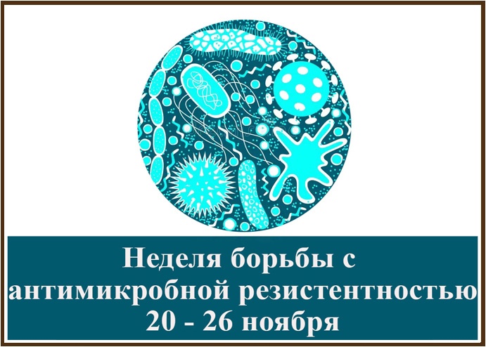 Вологодчина присоединилась к неделе борьбы с антимикробной резистентностью.