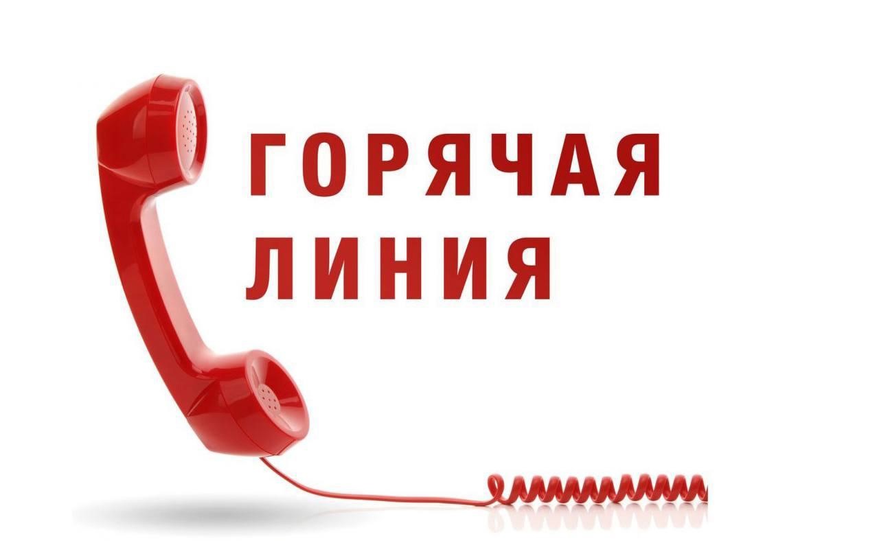 О старте Всероссийской «горячей линии» по вопросам качества и безопасности детских товаров, выбору новогодних подарков..