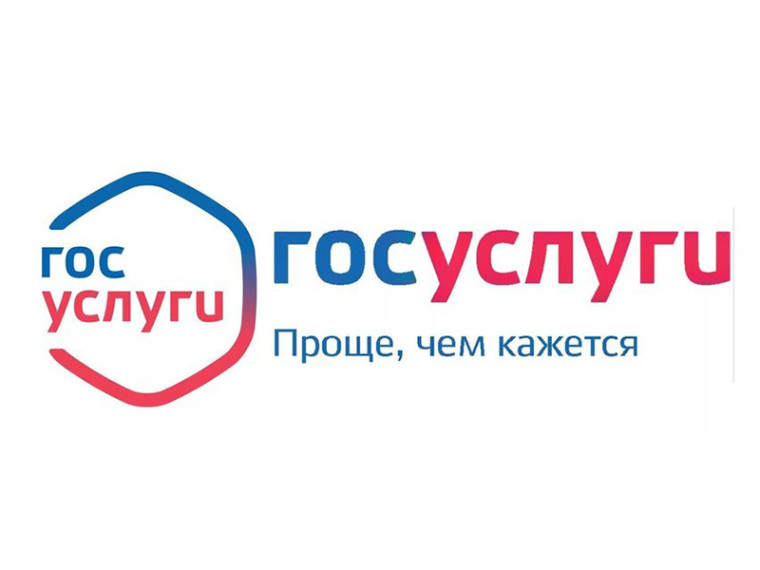 Проблемное поле СЗФО.