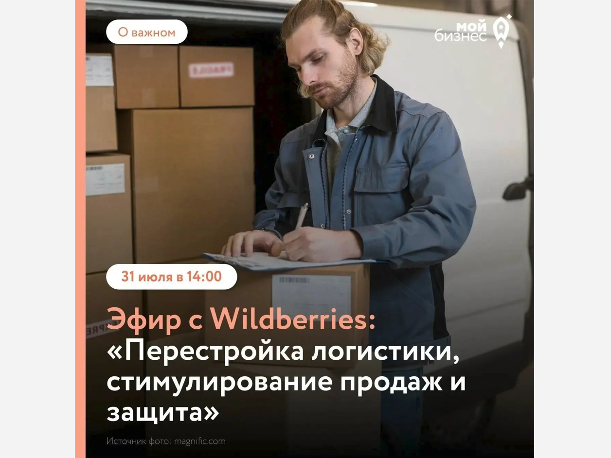 Эфир с Wildberries: перестройка логистики, стимулирование продаж и защита бизнеса.