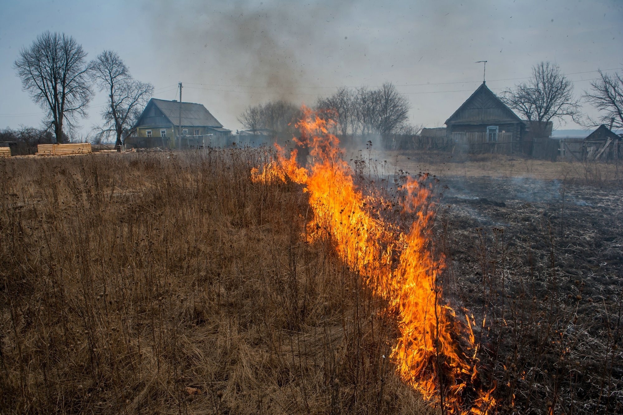 Пал сухой травы - памятка.